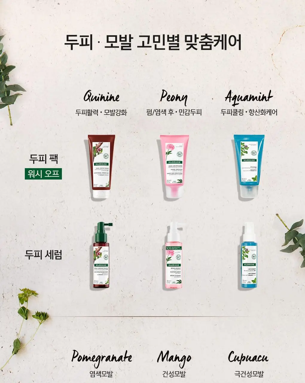 [손상 & 건조모발 헤어에센스] 클로란 망고버터 데미지 리페어 헤어 크림 125ml 상세페이지 19